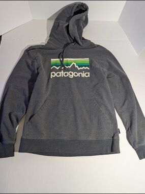 Patagonia Men's Gray Pullover Hoodie with Mountain Logo